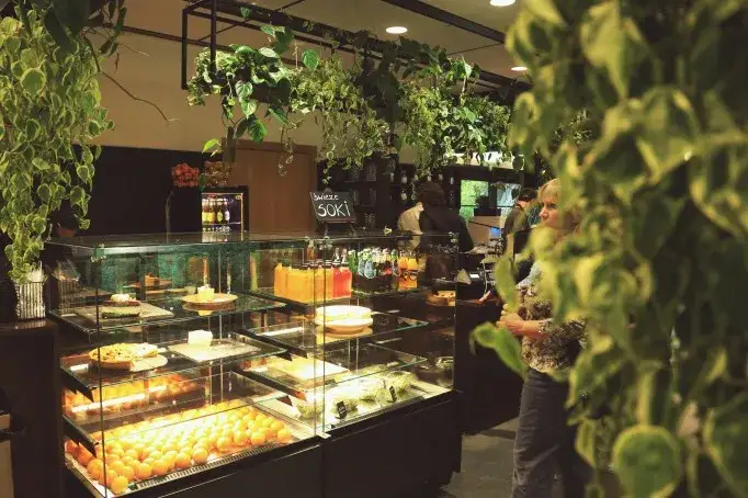 Łazienki Królewskie – najlepsze miejsca na jedzenie, które musisz poznać