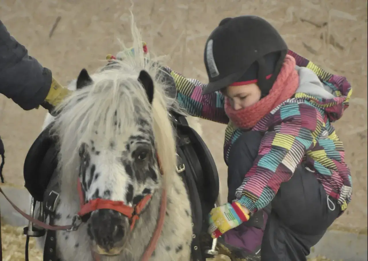 Najlepsze stadniny koni w Warszawie – jazda konna i oferta dla każdego