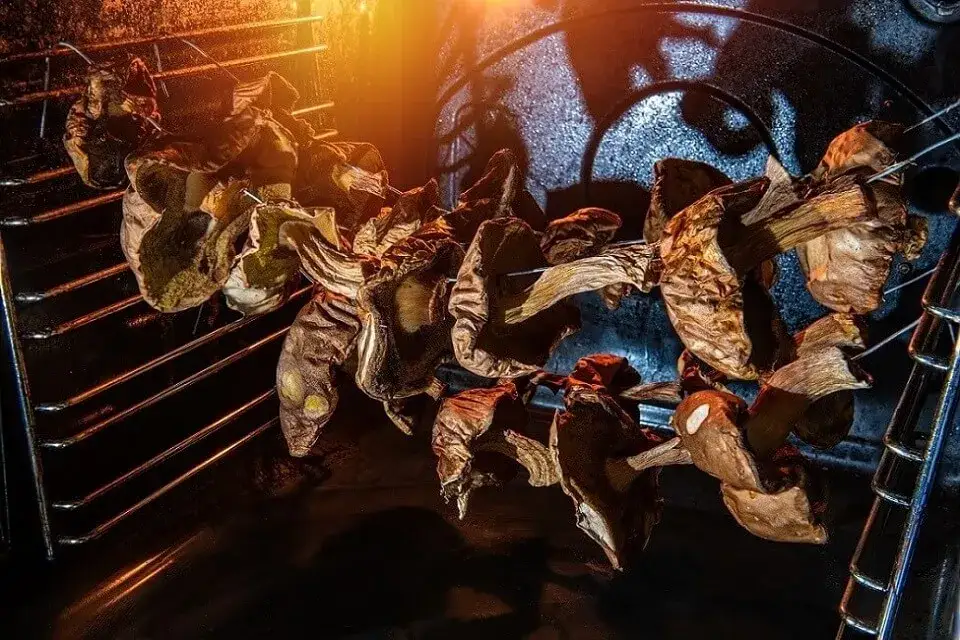 Na jakim programie suszyć grzyby w piekarniku, aby uniknąć błędów?