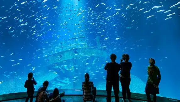 Największe oceanarium w Niemczech: Ozeaneum Stralsund wszystko co musisz wiedzieć