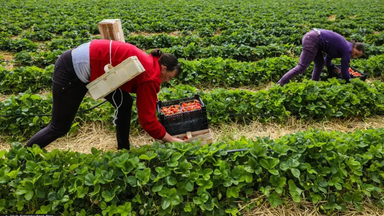 Ile emerytury z Niemiec dla Polaka? Sprawdź realne kwoty i zasady