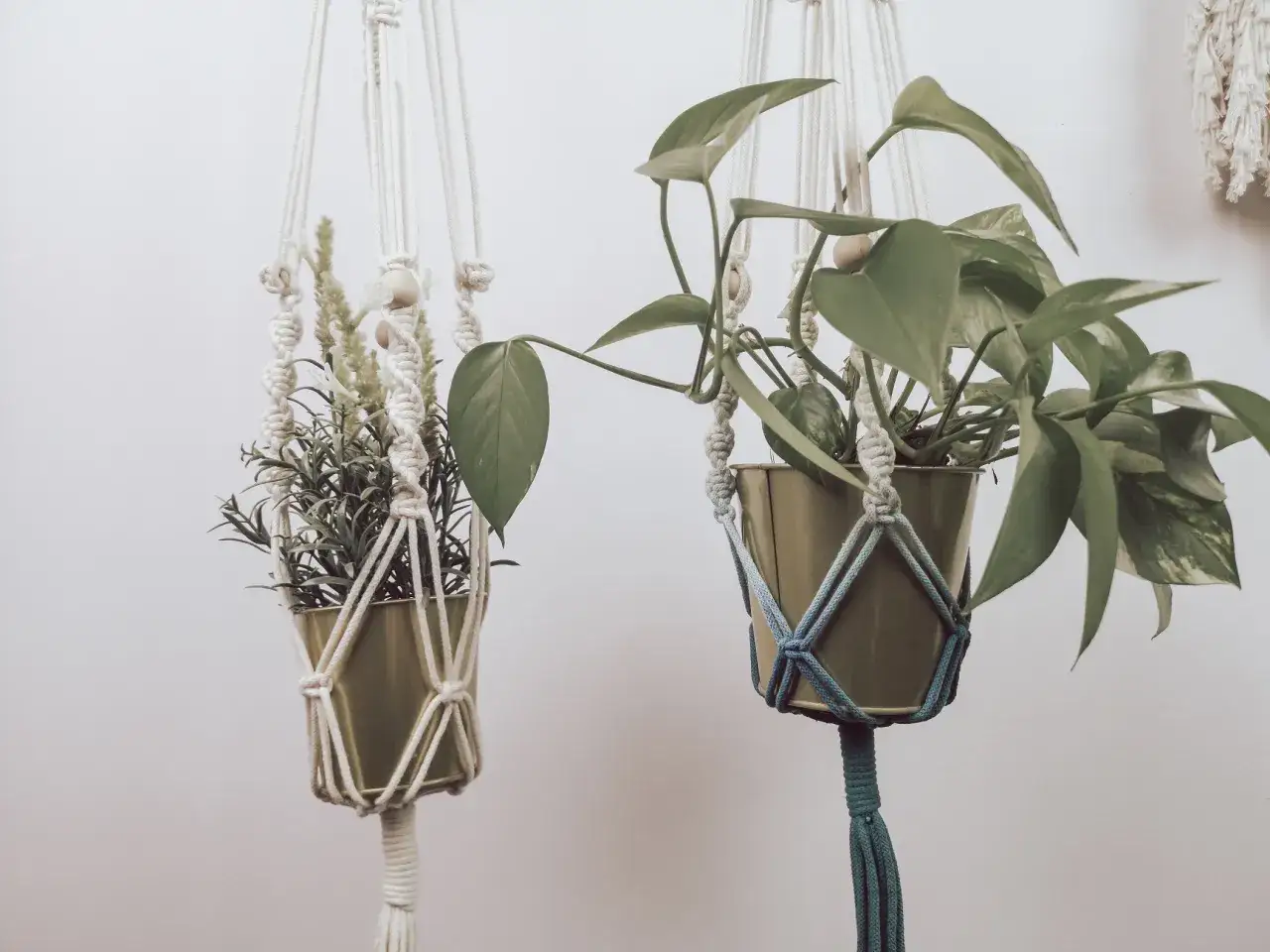 Dwa kwietniki makrama z zielonymi roślinami wiszące na jasnym tle.