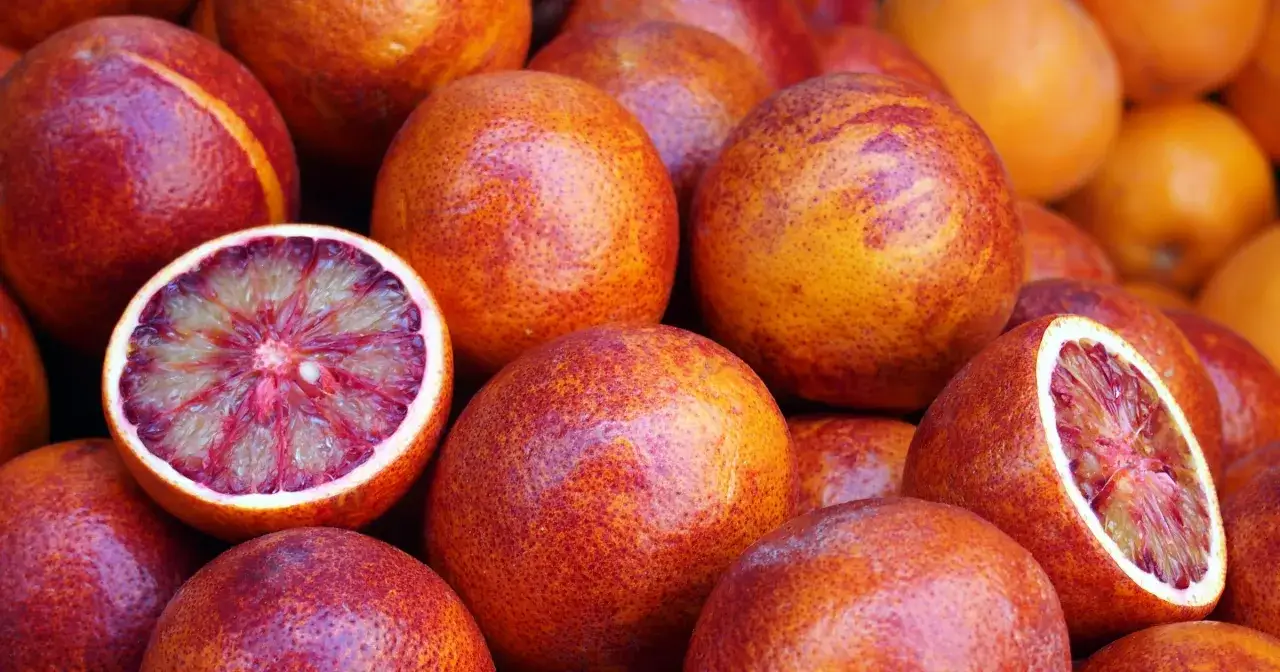 Kiedy sezon na pomarańcze? Najlepszy czas na słodkie owoce