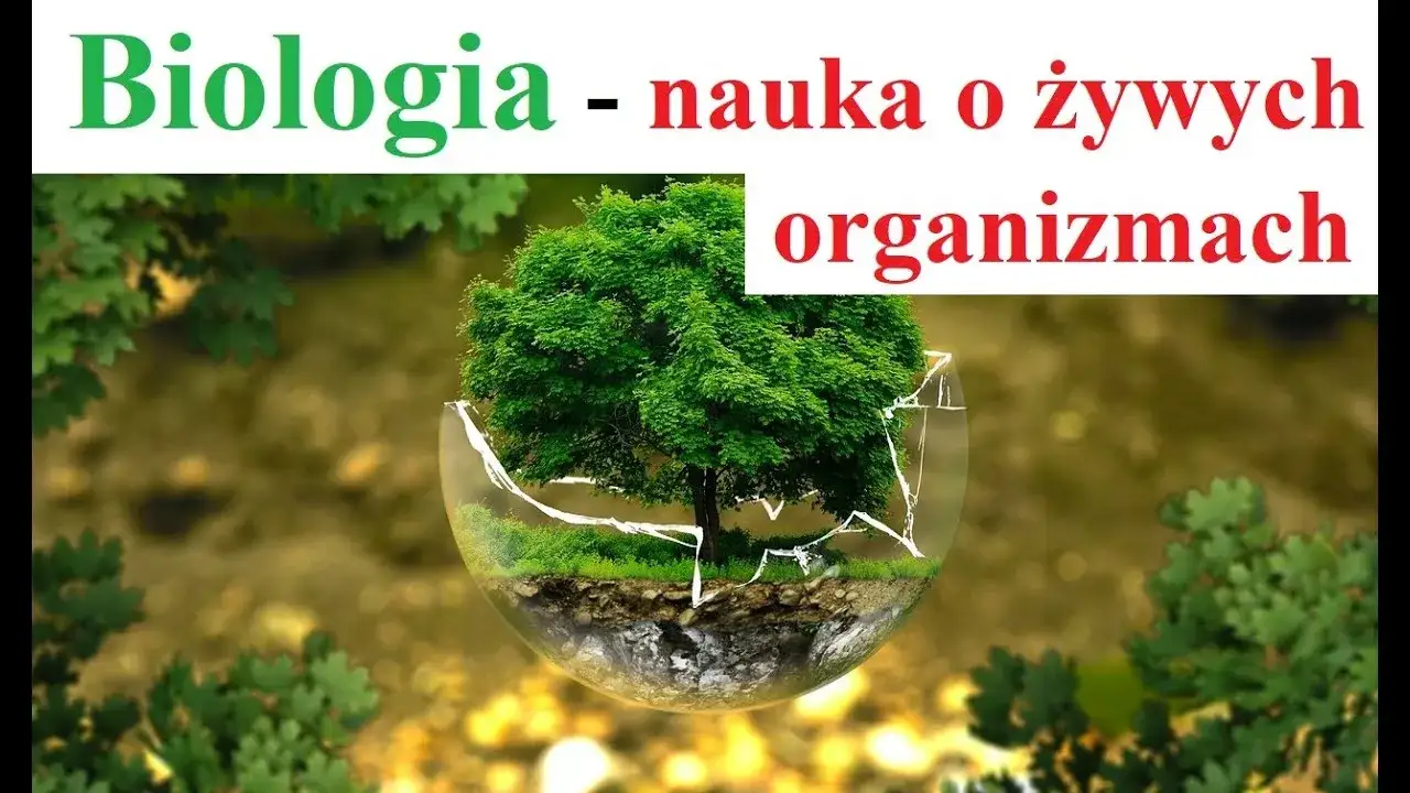 Czy biologia to nauka ścisła? Odkryj jej unikalną naturę i metody