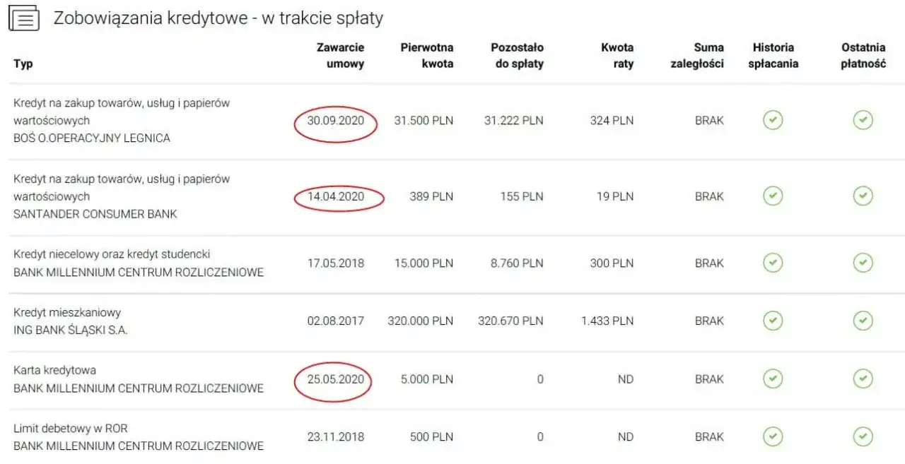 Jak sprawdzić zdolność kredytową w BIK i uniknąć błędów finansowych