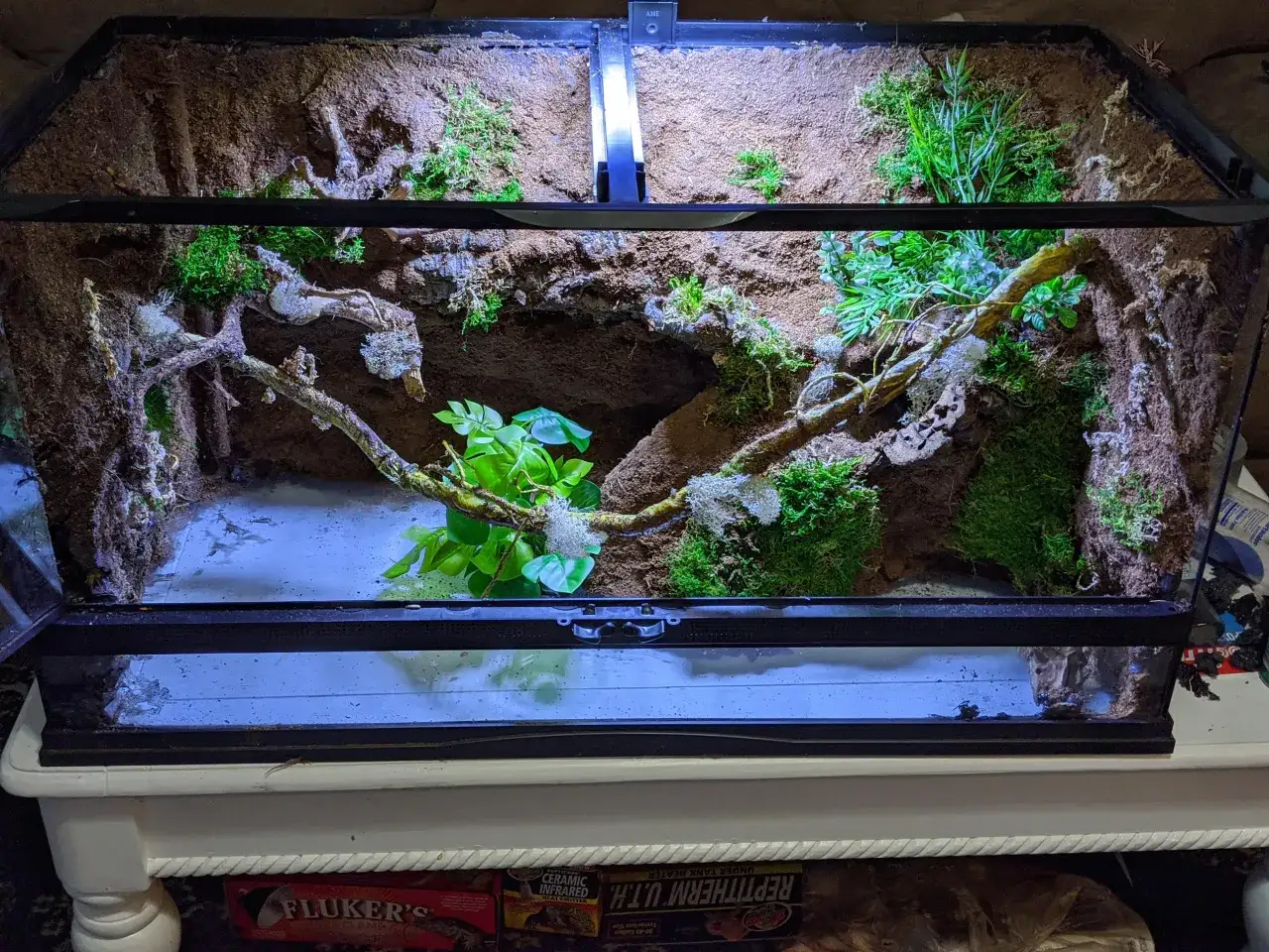 Najlepszy silikon do terrarium - bezpieczne opcje dla zwierząt i roślin