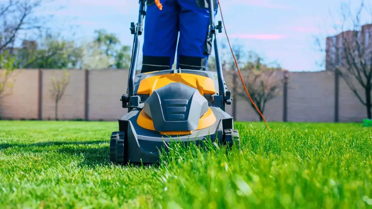Koszenie trawy kosiarką spalinową: Cennik 2026. Jak nie przepłacić?