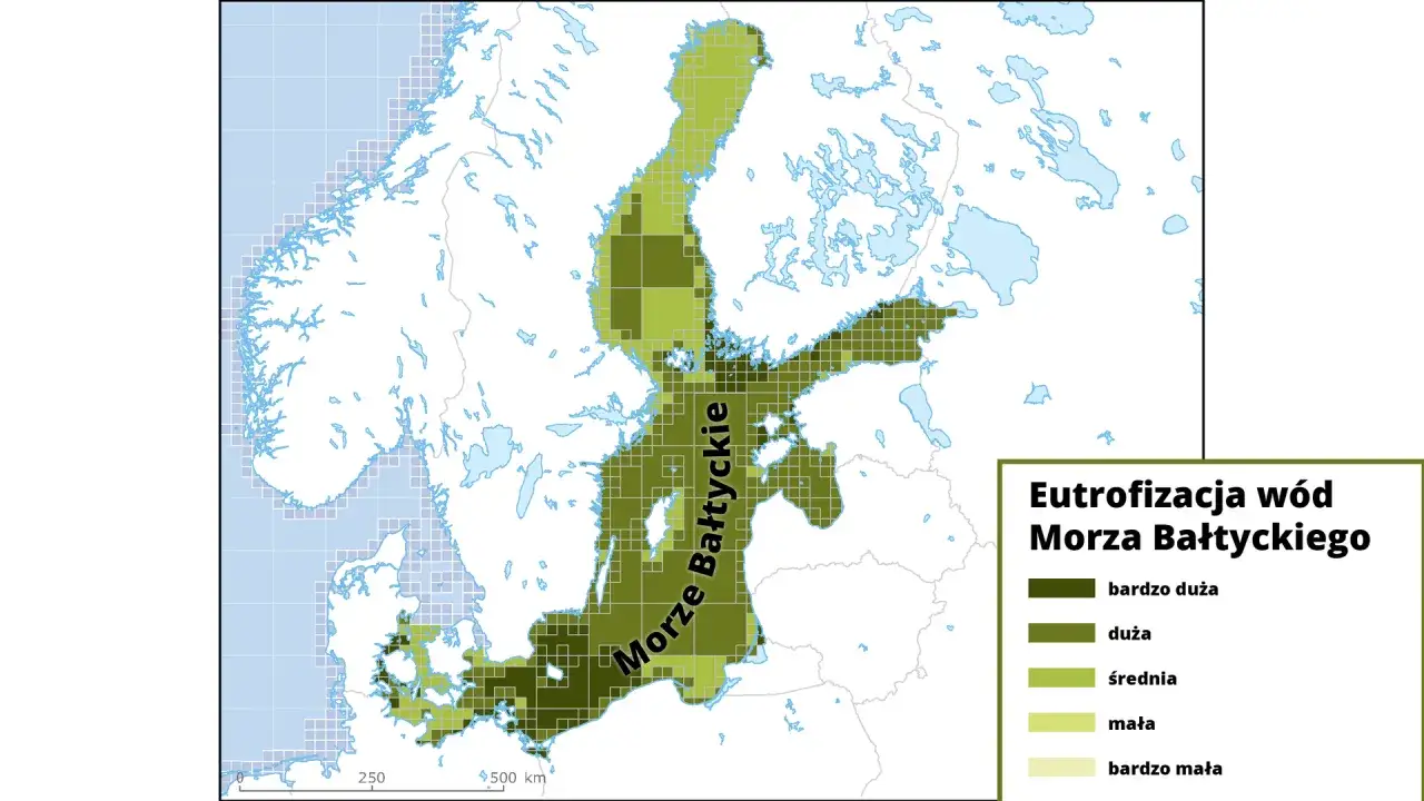 Gdzie jest Bałtyk? Odkryj jego granice i otaczające kraje