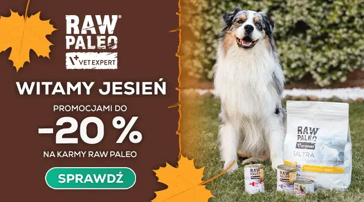 Gdzie kupić leki dla psa? Odkryj najlepsze miejsca i oferty