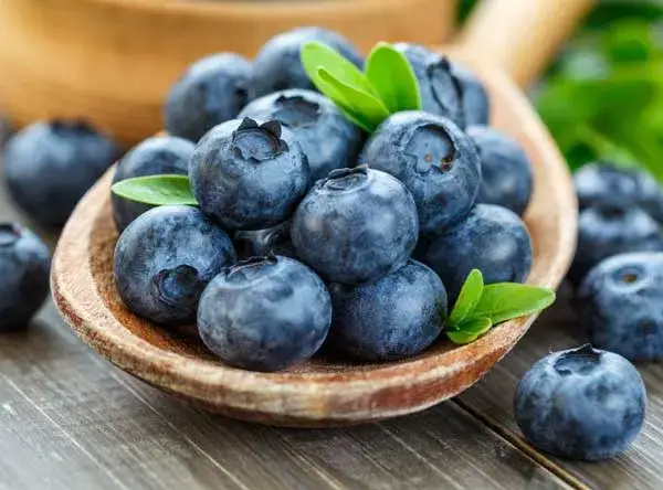 Kiedy jest sezon na jagody? Sprawdź, kiedy najlepiej je zbierać