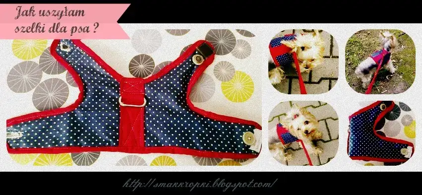 Jak uszyć szelki dla psa? Szybki poradnik DIY krok po kroku