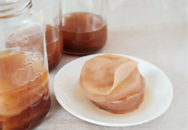 Jak wyhodować kombuchę? Poradnik krok po kroku od SCOBY do napoju