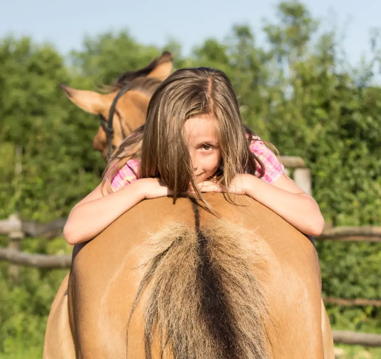 Stadnina koni Jaroszówka - historia, usługi i wyjątkowe oferty
