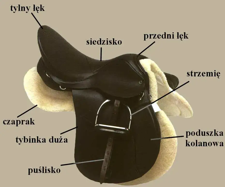 Ile waży siodło? Poznaj różnice w wadze i wpływ na komfort jazdy