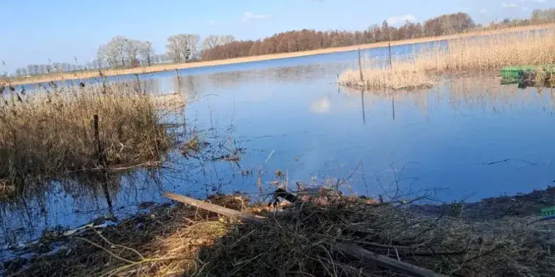 Jezioro Strykowskie: tajemnice, które warto poznać oraz atrakcje