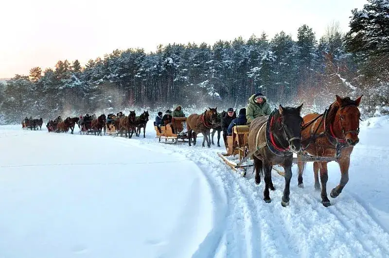 Stadnina koni huculskich w Regietowie - odkryj tajemnice największej hodowli