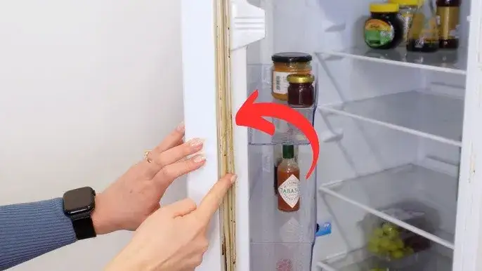 Jak wyczyścić uszczelki w lodówce, aby uniknąć pleśni i brudu
