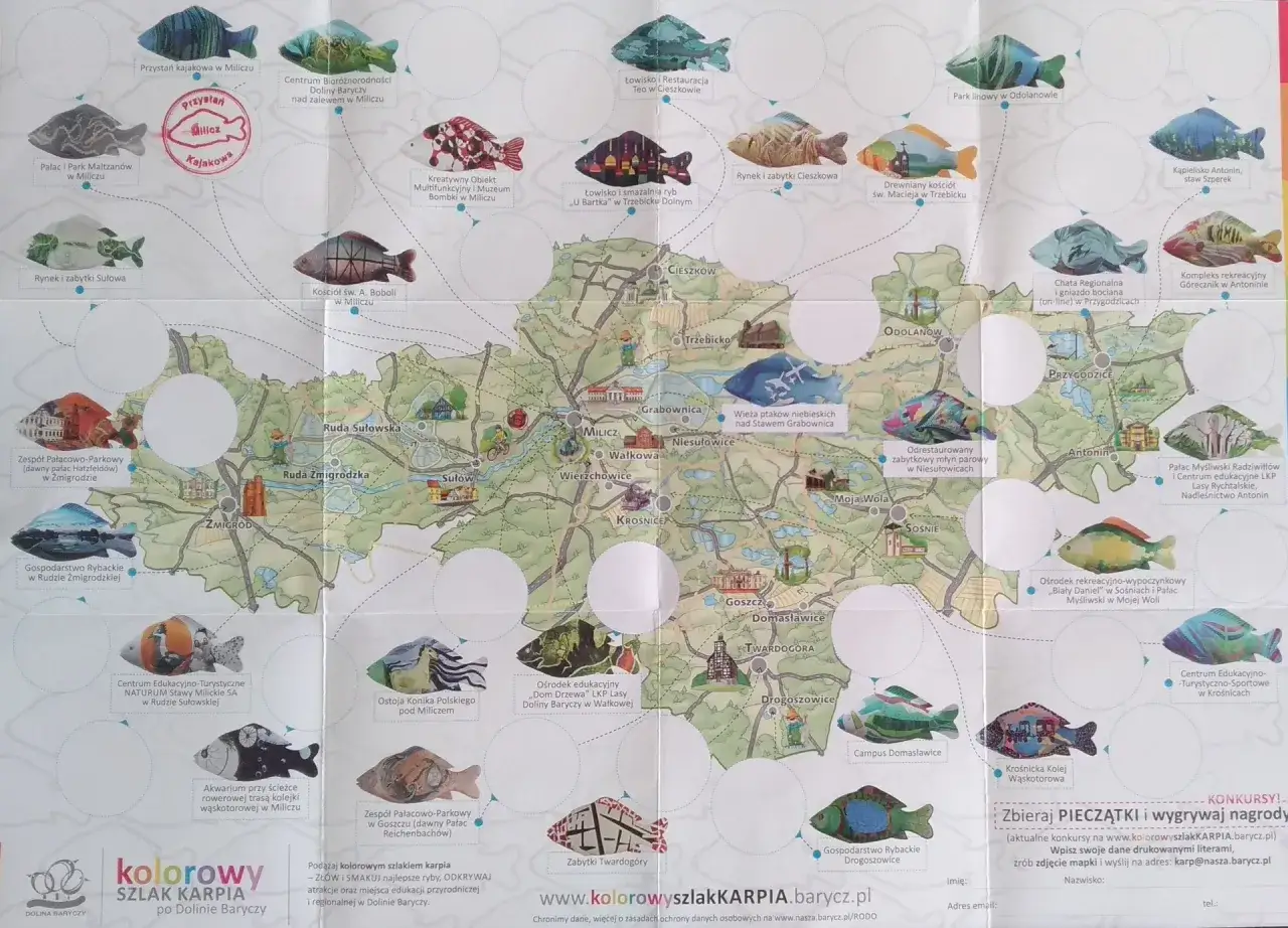 Dolina Baryczy: Gdzie zjeść karpia milickiego? Sprawdzone adresy.