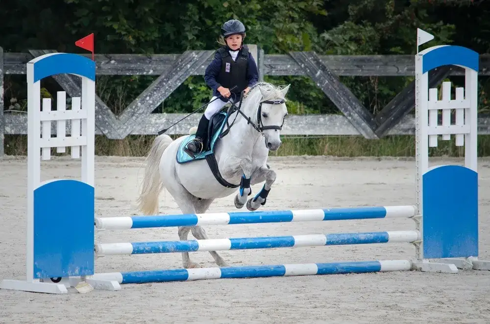 Stadnina koni Kielce - idealne miejsce na naukę jazdy konnej