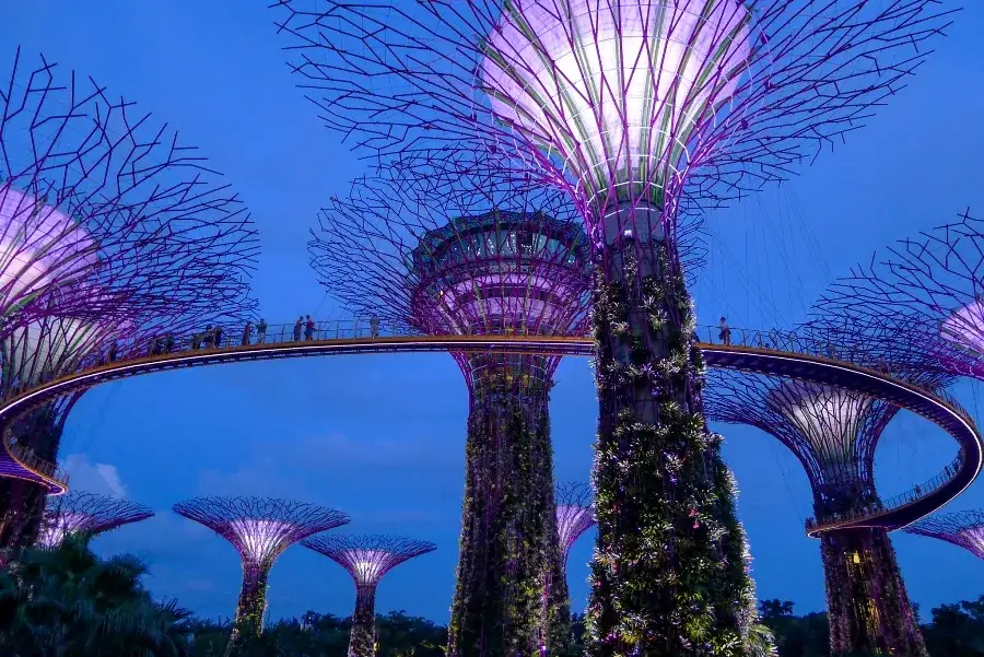 Najpiękniejsze ogrody i parki w Singapurze, które warto odwiedzić