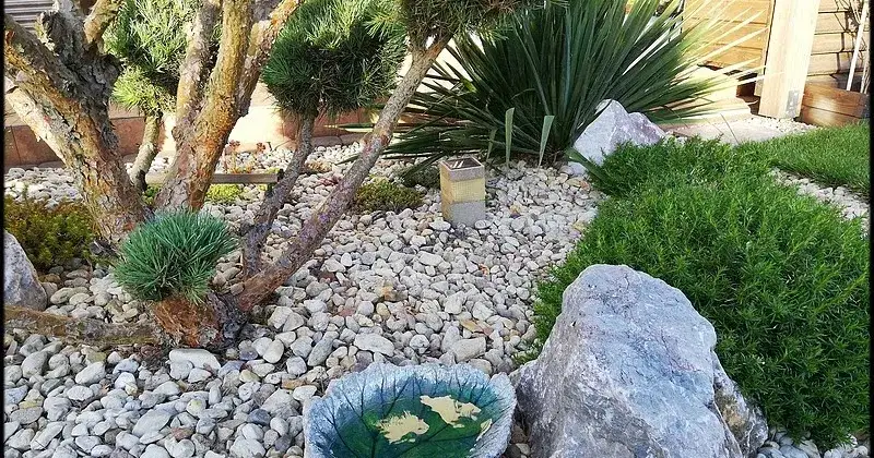 Jak zrobić fajne poidełko dla ptaków, które przyciągnie ich do ogrodu