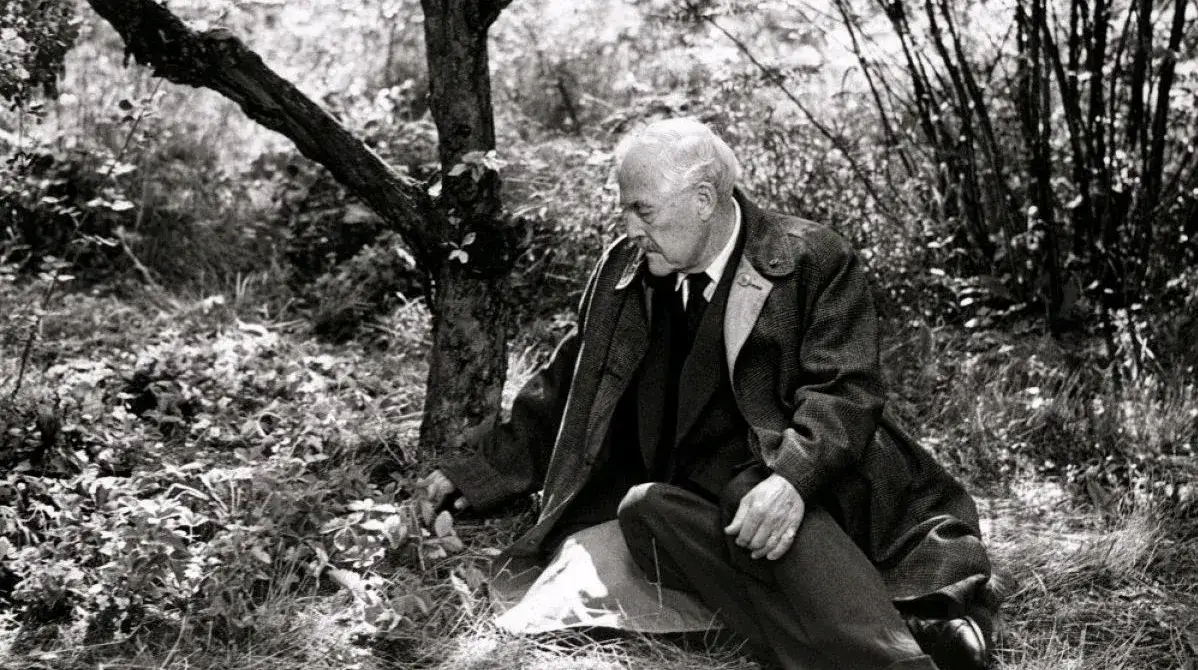 Tam gdzie rosną poziomki: Czy starość musi być samotna?