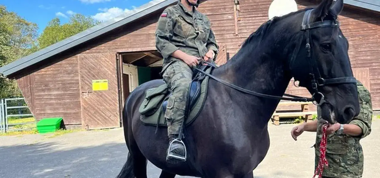 Koń na zawołanie? Odkryj sekrety skutecznego wołania!