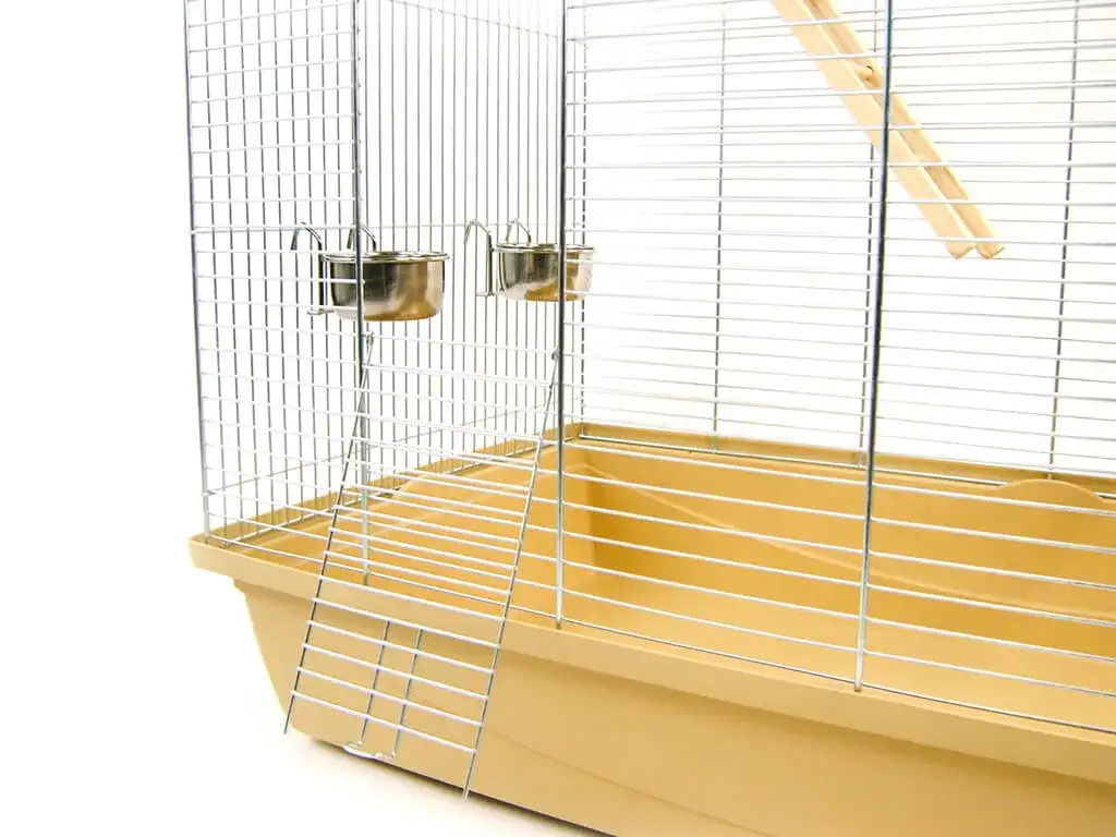 Jaka klatka dla papugi falistej zapewni jej komfort i bezpieczeństwo