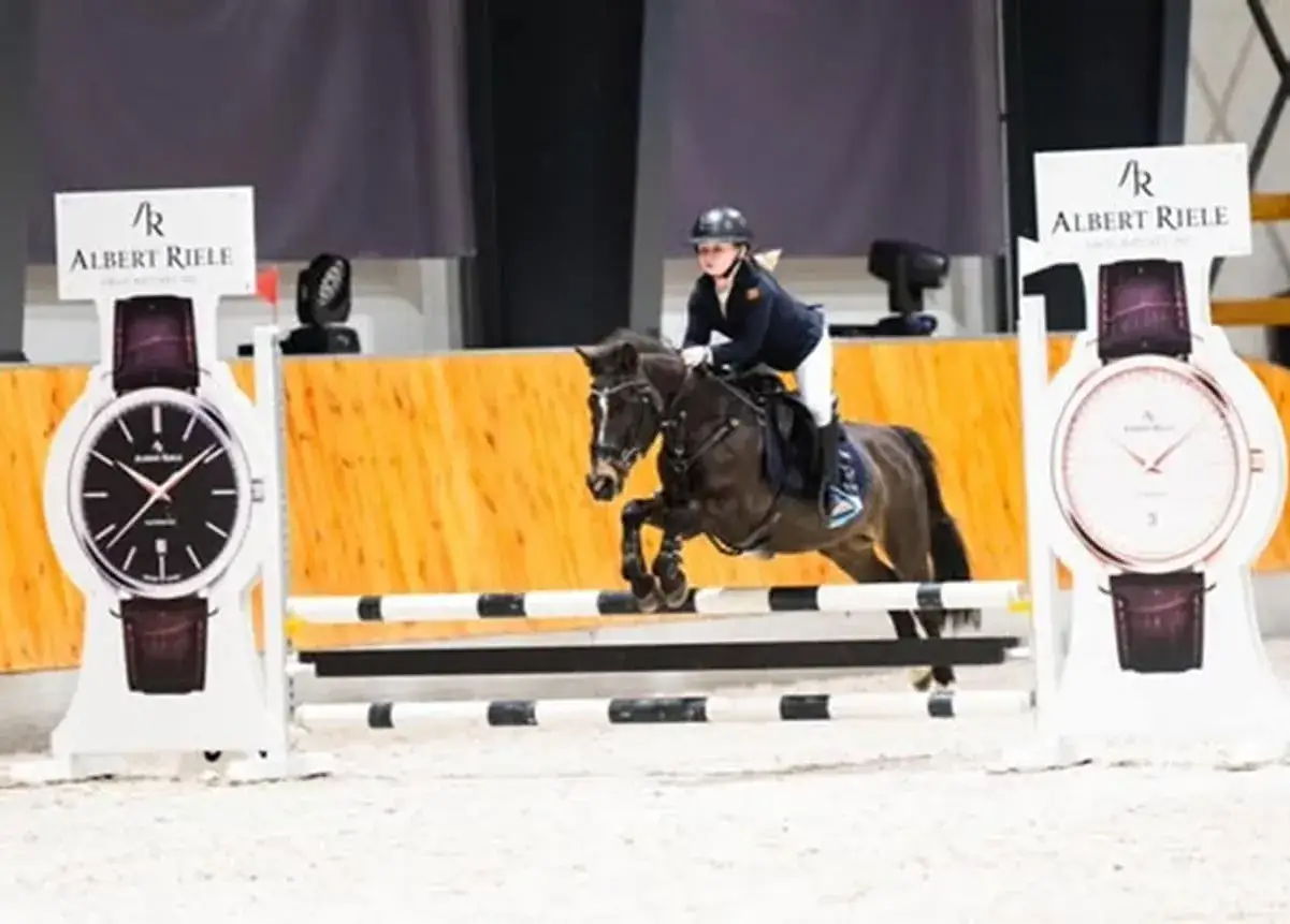 Warmińsko-Mazurski Związek Jeździecki - ważne informacje i wydarzenia