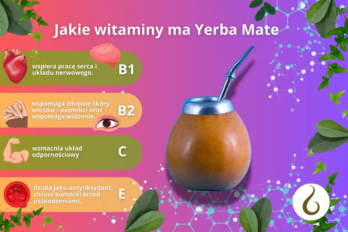 Yerba Mate: Zdrowa czy nie? Korzyści, ryzyka i opinie ekspertów