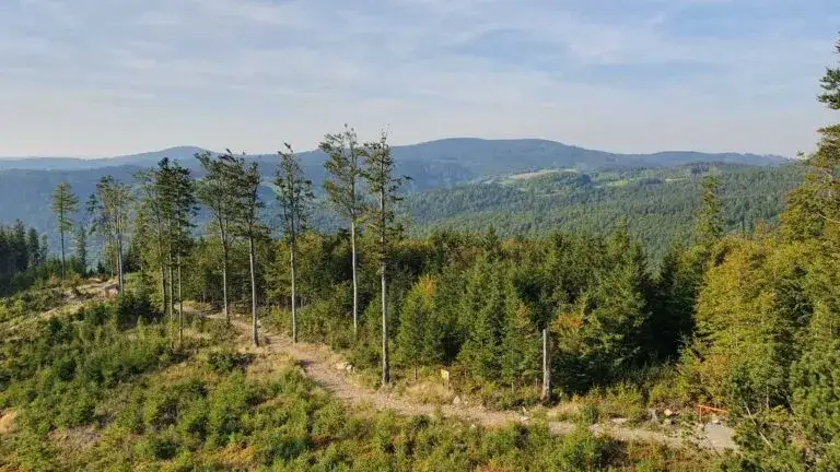 Lądek-Zdrój jakie góry? Odkryj ukryte skarby górskie w regionie