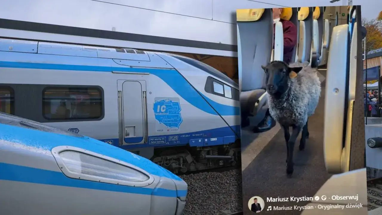 Tczew Pendolino: Wagon 4? Znajdź go bez stresu i biegania po peronie!