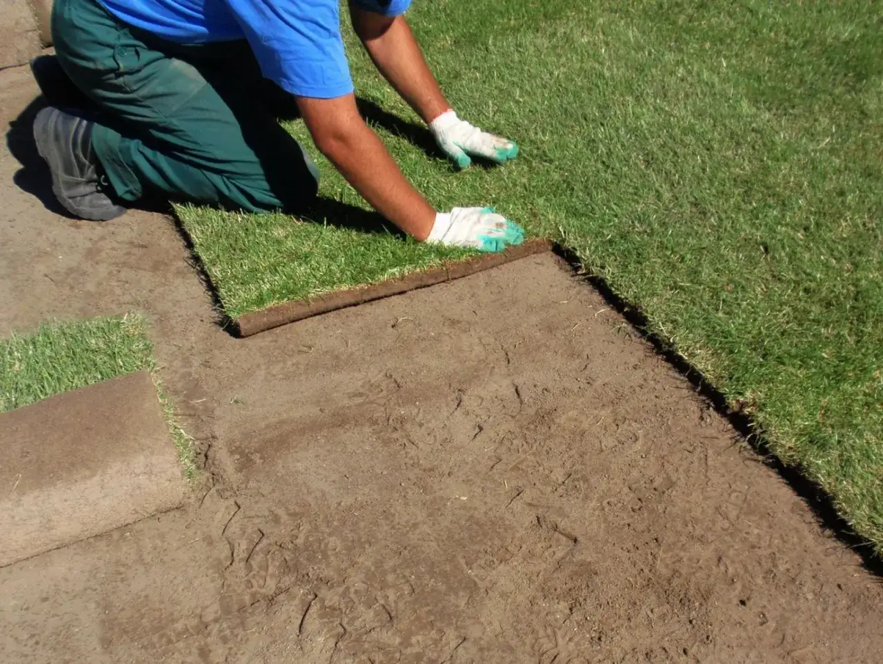 Jak zasiać trawnik? Poradnik krok po kroku do idealnej murawy
