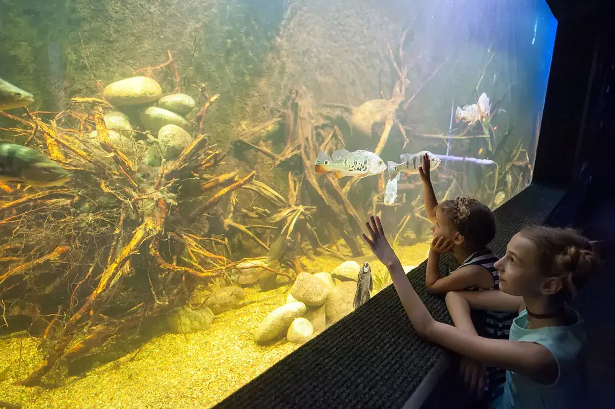 Oceanarium Zagnańsk - poznaj wyjątkowe atrakcje i godziny otwarcia