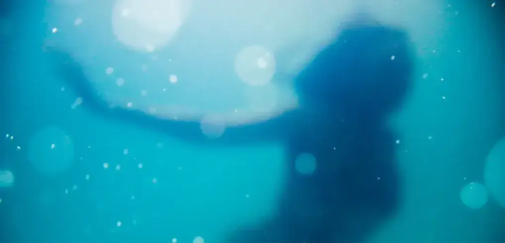 Baśń o syrence: prawdziwe oblicze miłości i poświęcenia w opowieści