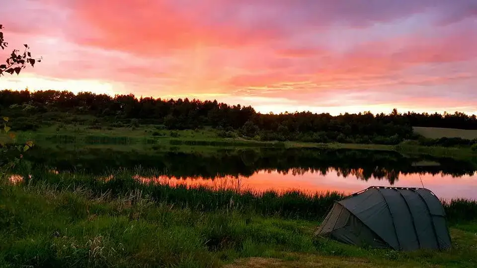 Łowisko karp w dolinie - idealne miejsce na wędkarskie przygody