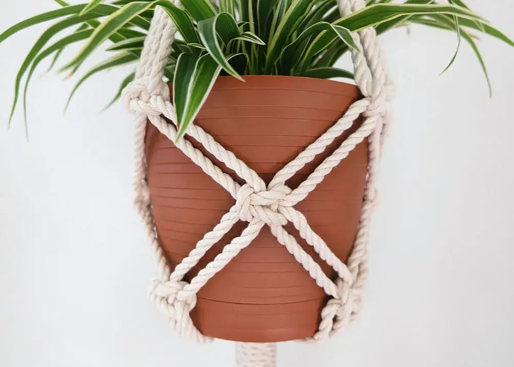 Jaki sznurek do kwietnika? Wybierz najlepszy materiał i grubość