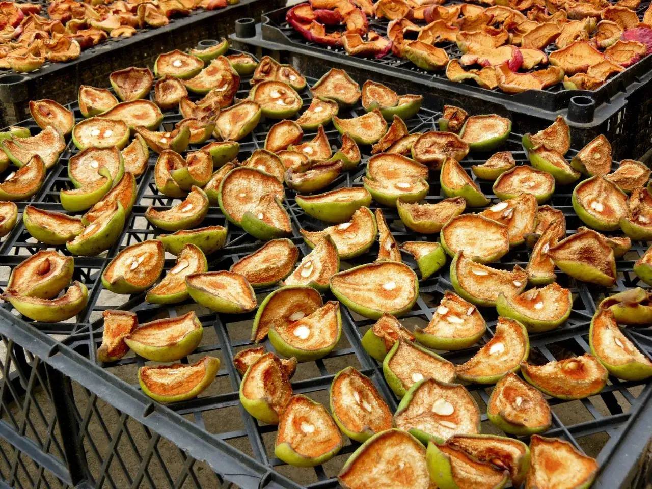 Jak suszyć warzywa w piekarniku: proste kroki dla doskonałych efektów