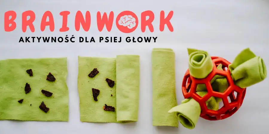 Zabawka sensoryczna dla psa – jak wspierać rozwój i zabawę?