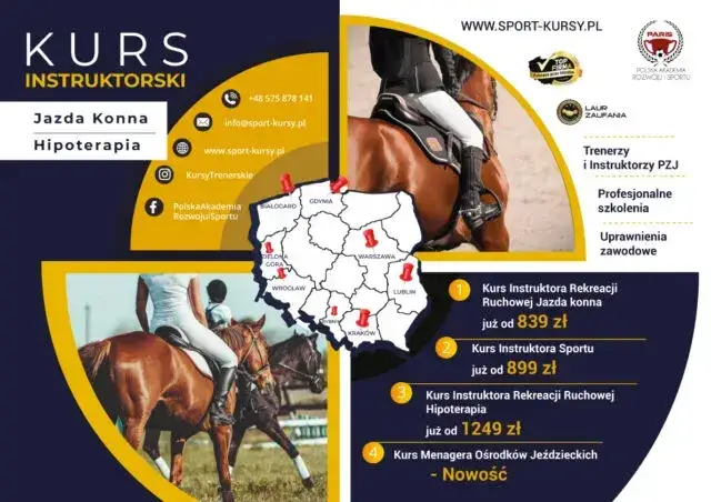 Kurs instruktora jeździectwa powszechnego PZJ – jak zdobyć certyfikat?