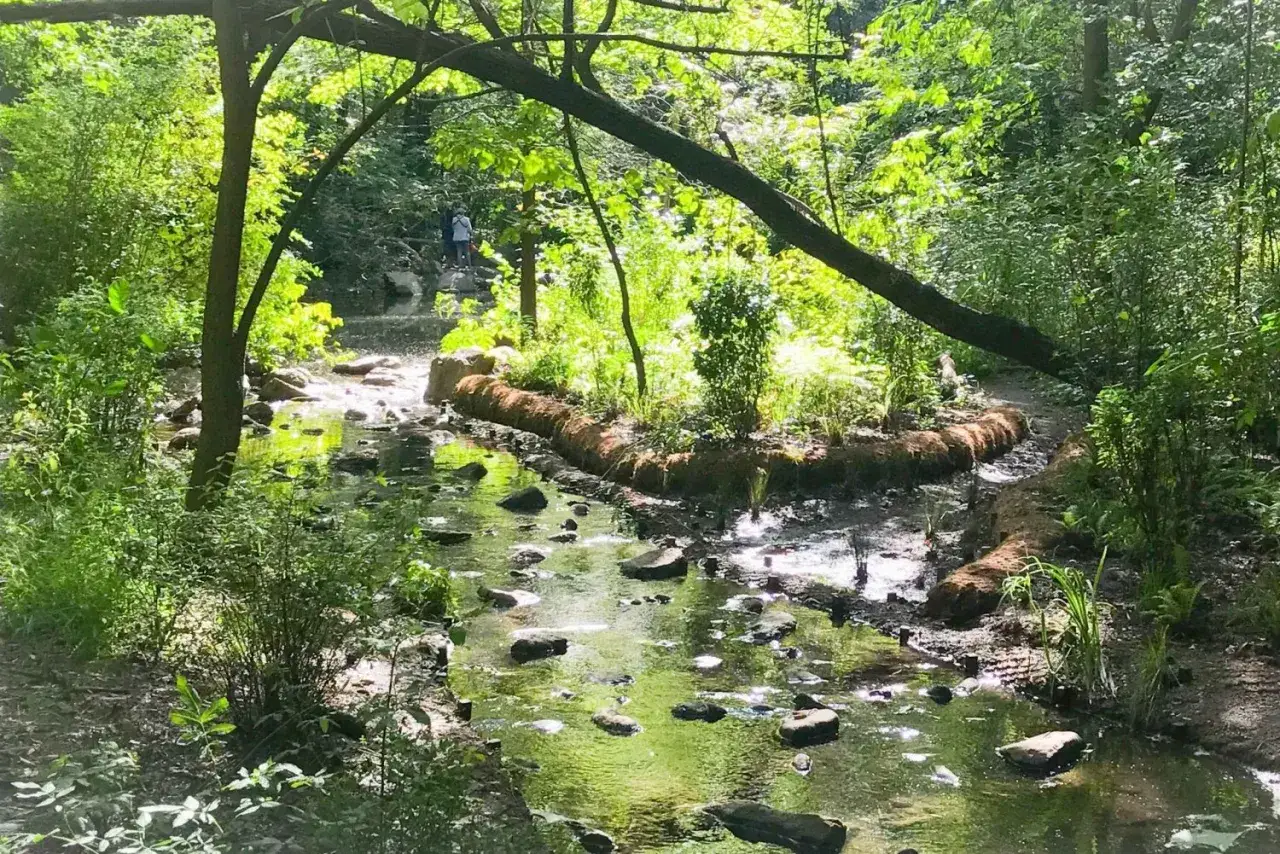 Central Park atrakcje: odkryj ukryte skarby i popularne miejsca