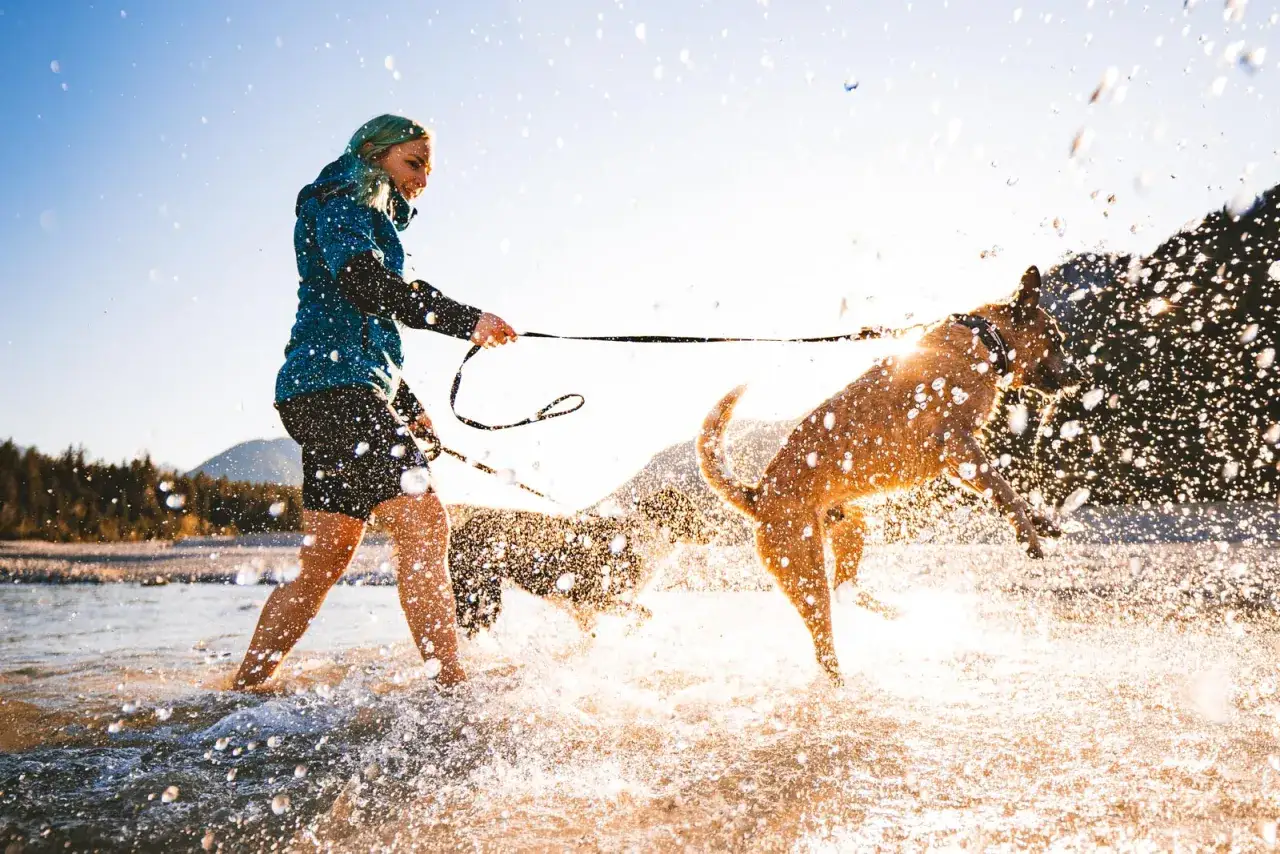 La mejor correa para correr con perro: comodidad y seguridad en tus carreras