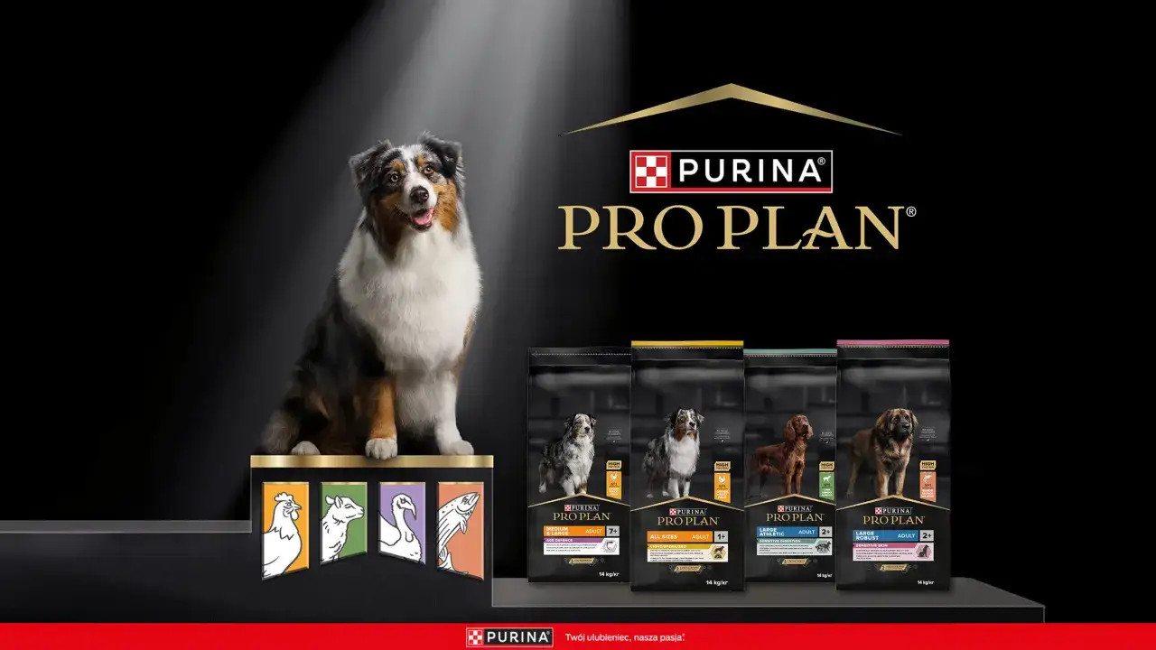Purina dla psa: Od Pro Plan po Darling czy warto? Ekspert radzi