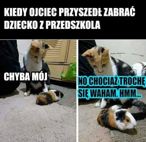 Śmieszne memy o ojcu odbierającym dziecko z przedszkola, które rozbawią każdego