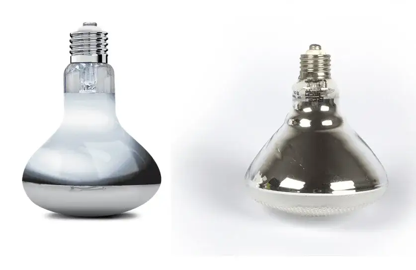 Najlepsze żarówki UV: Jak wybrać idealną dla zdrowia gadów i więcej