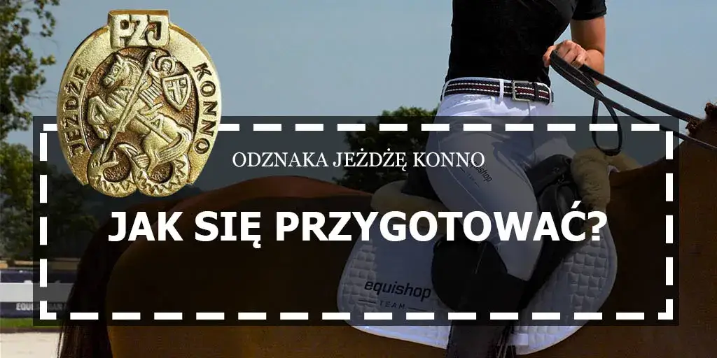 1. Odznaka Jeżdżę Konno: Co daje i dlaczego jest kluczowa?