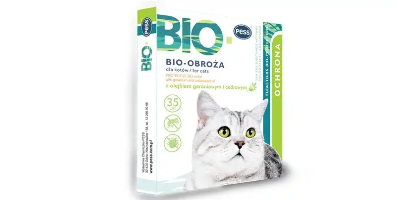 Ile kosztuje obroża przeciwpchelna dla kota? Ceny i porady zakupowe