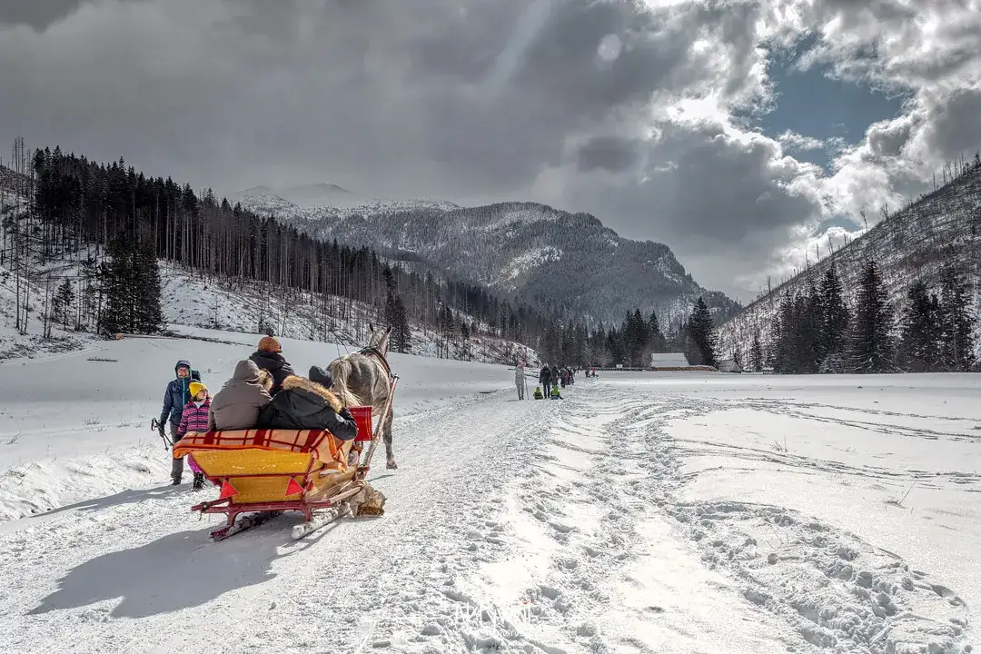 Ile kosztują sanie w Dolinie Kościeliskiej? Aktualne ceny i informacje