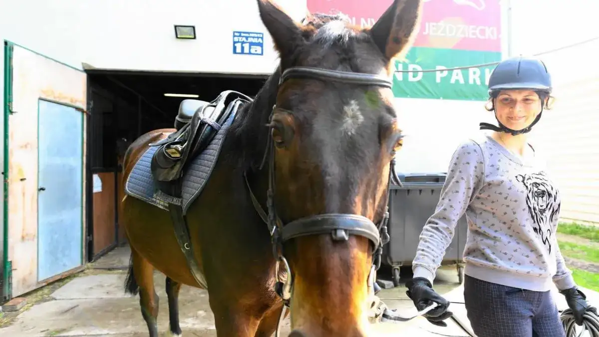 Stajnie w Warszawie - najlepsze oferty i usługi dla jeźdźców