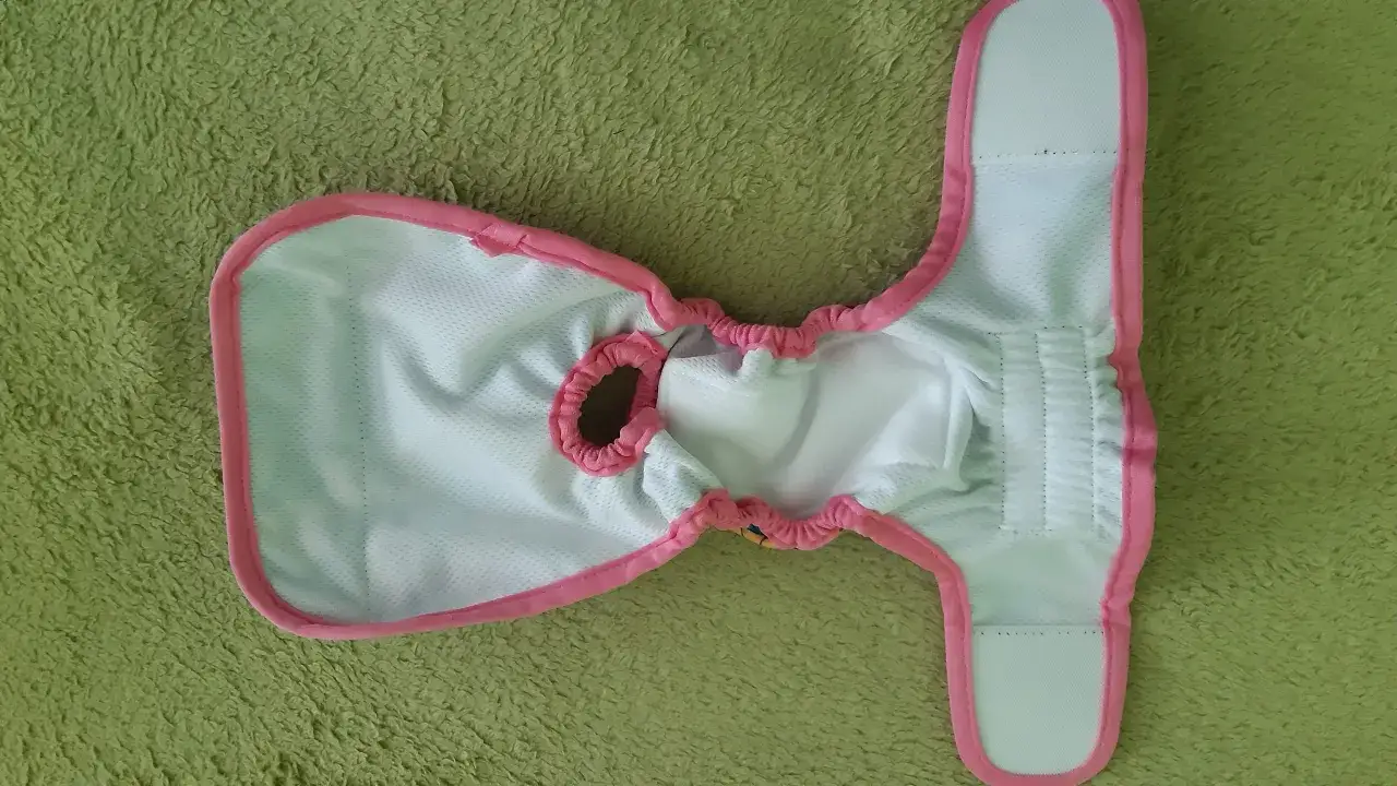 Pielucha dla psa DIY: Szybkie rozwiązania na cieczkę i nietrzymanie.